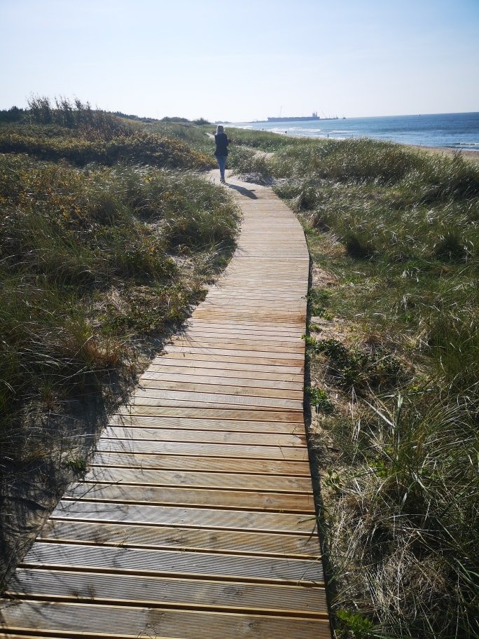 Wooden paths for pedestrians